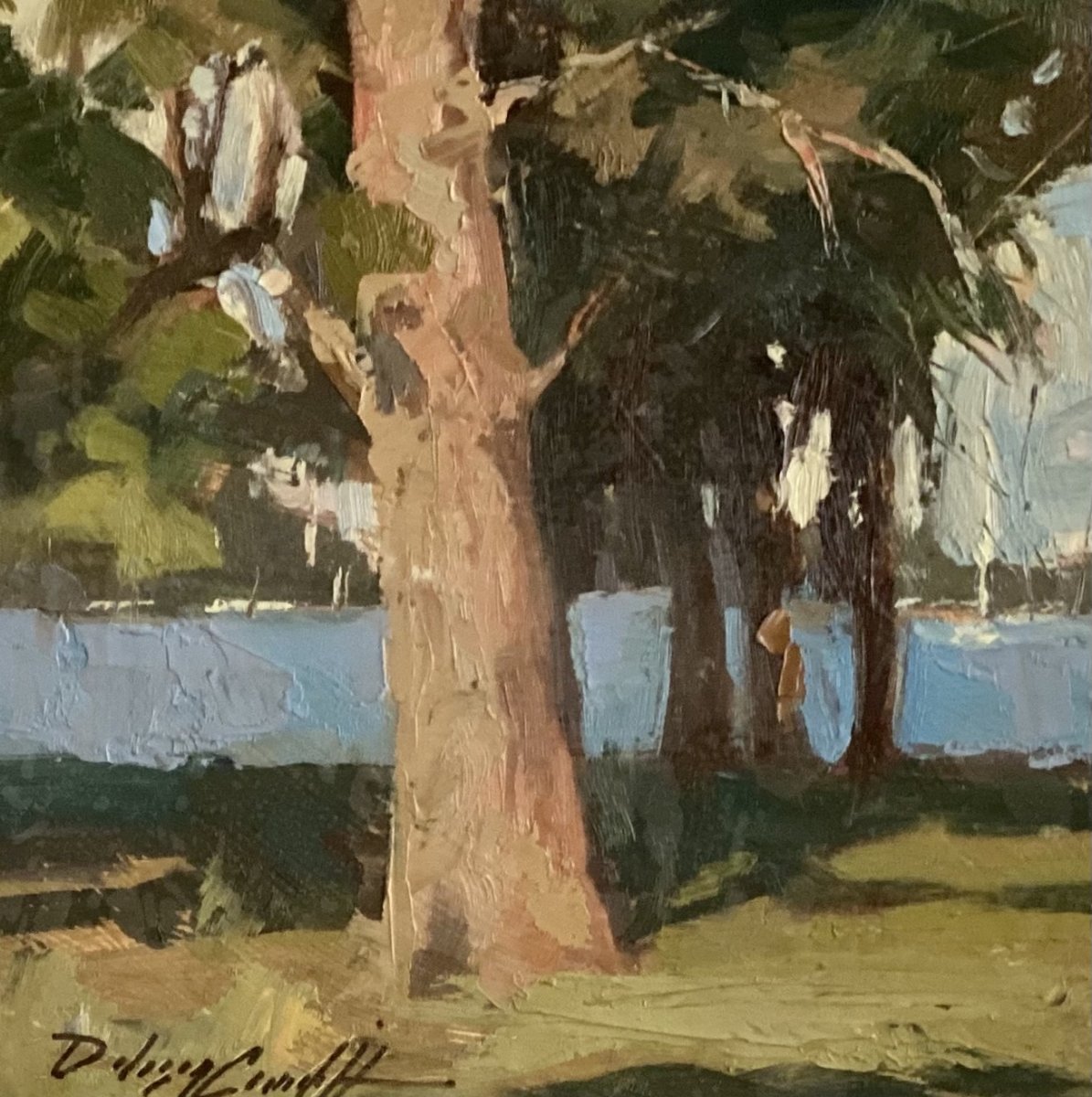 Sunlit Tree