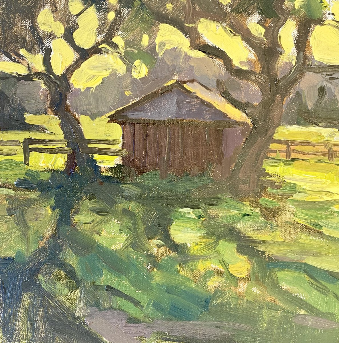 Garden Shed