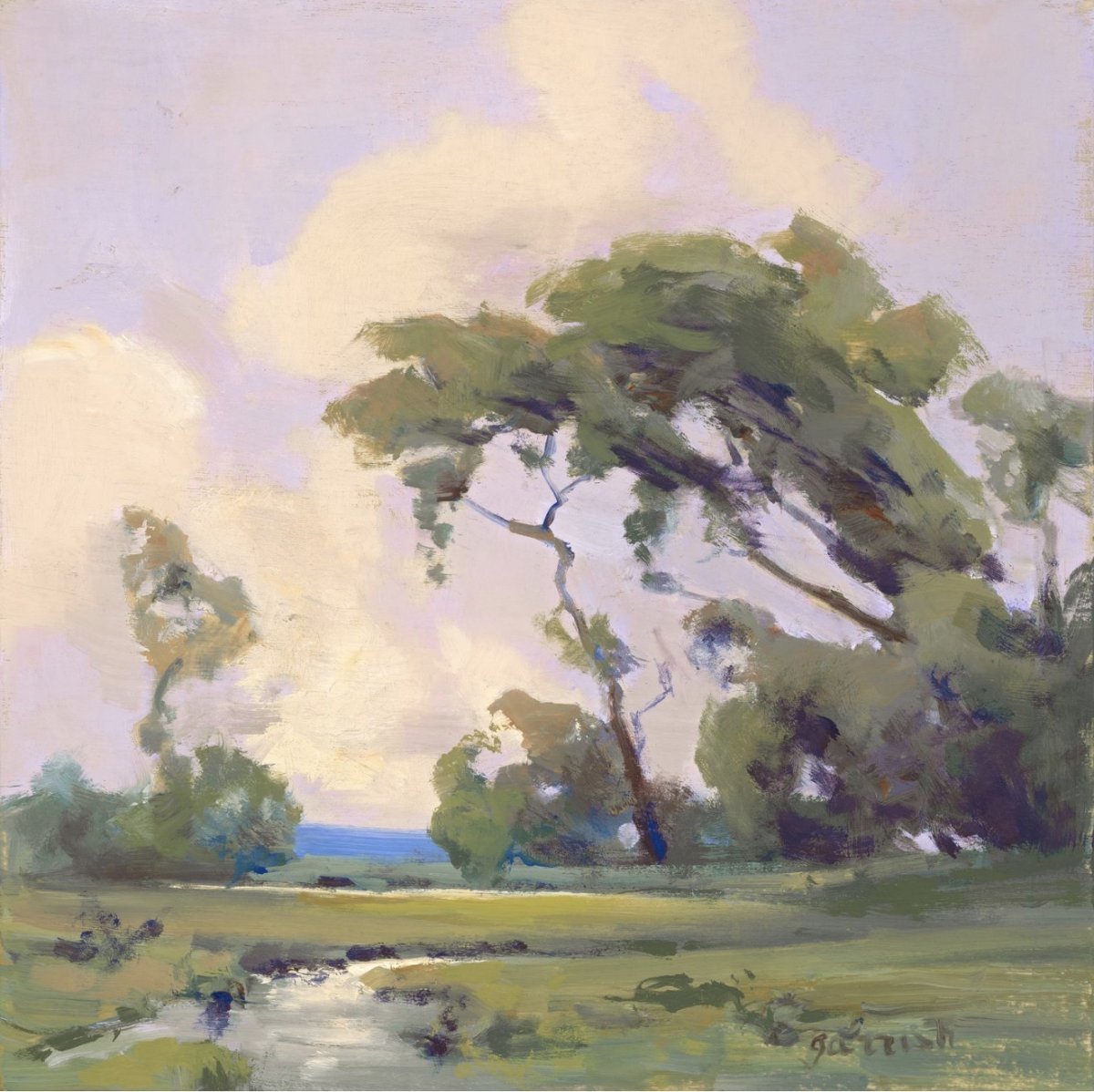 Swaying Pine Trees