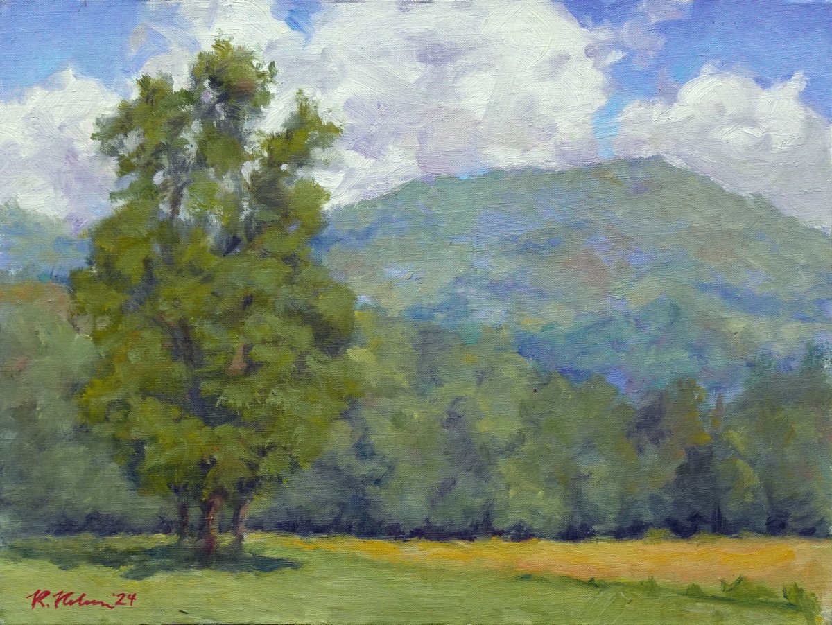 Smoky Mountain Afternoon